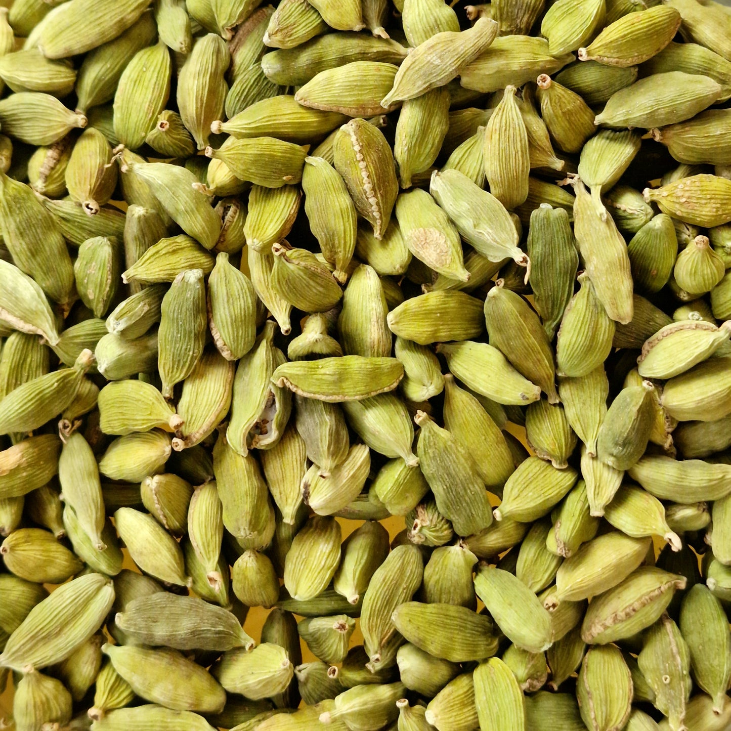 Green Cardamom Pods (10g)