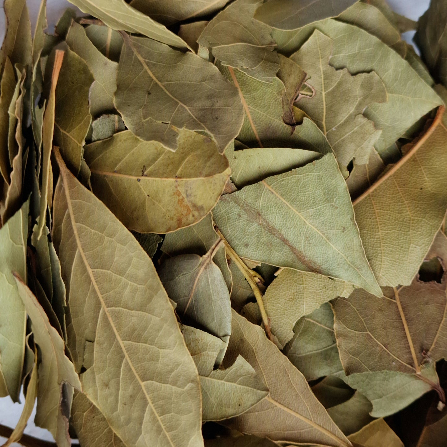 Bay Leaves (10g)