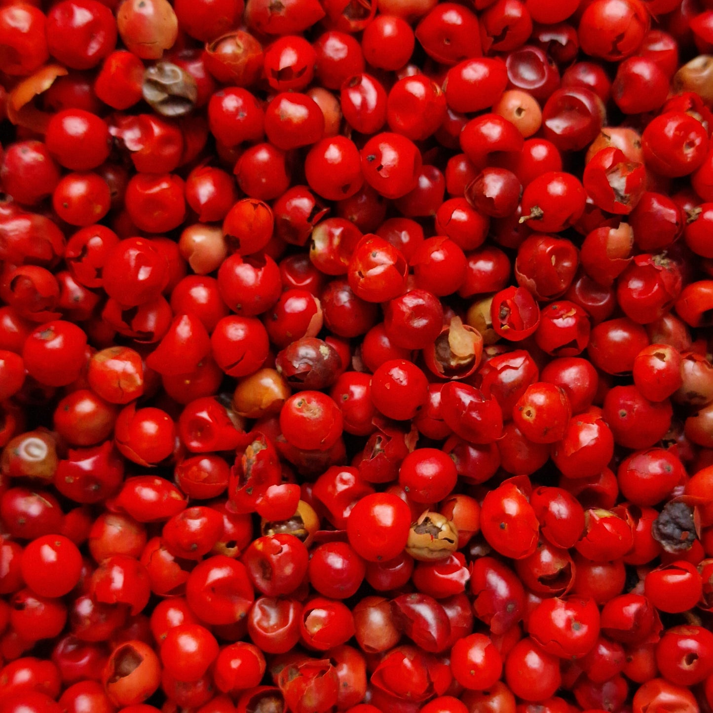 Pink Peppercorns (10g)