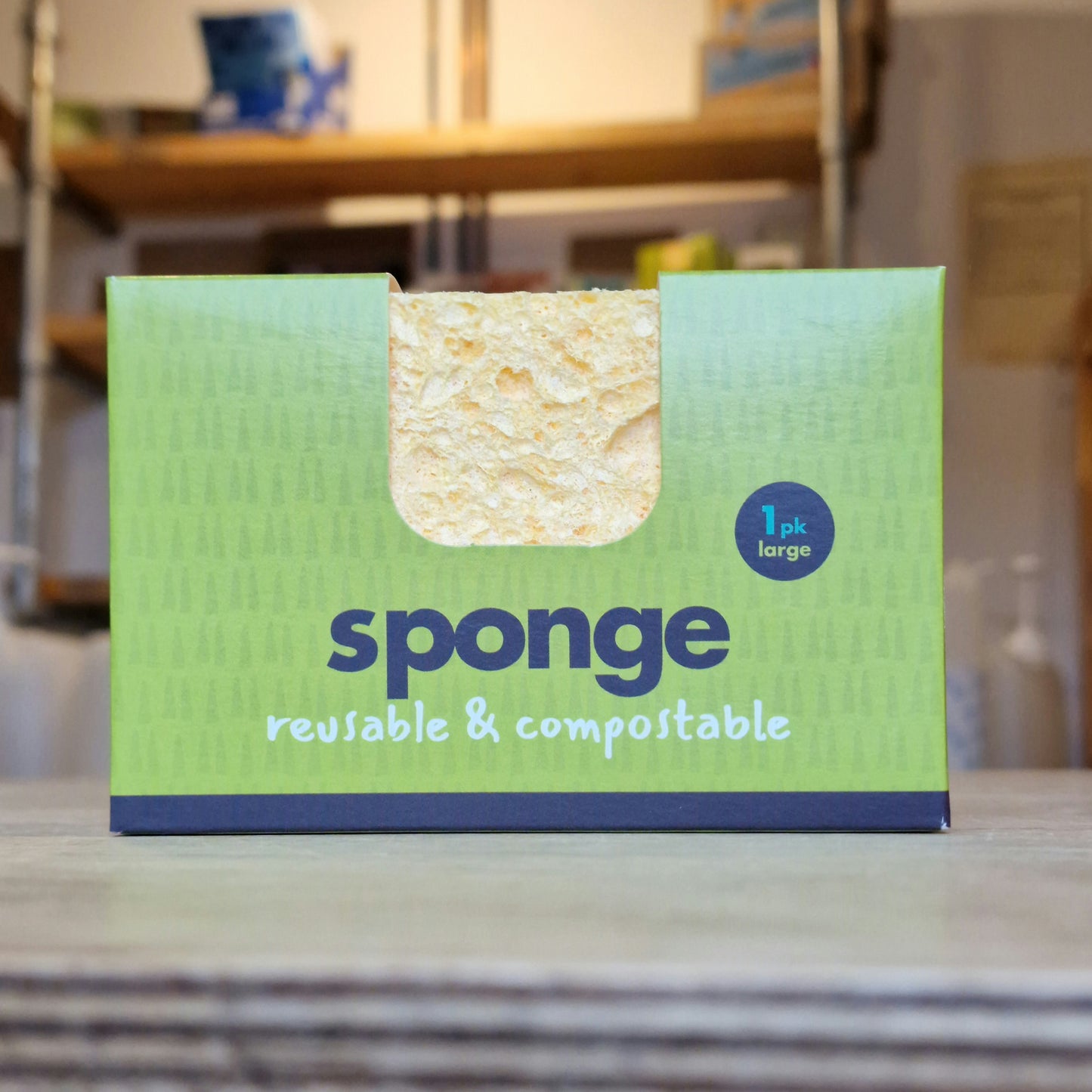 Compostable Sponge