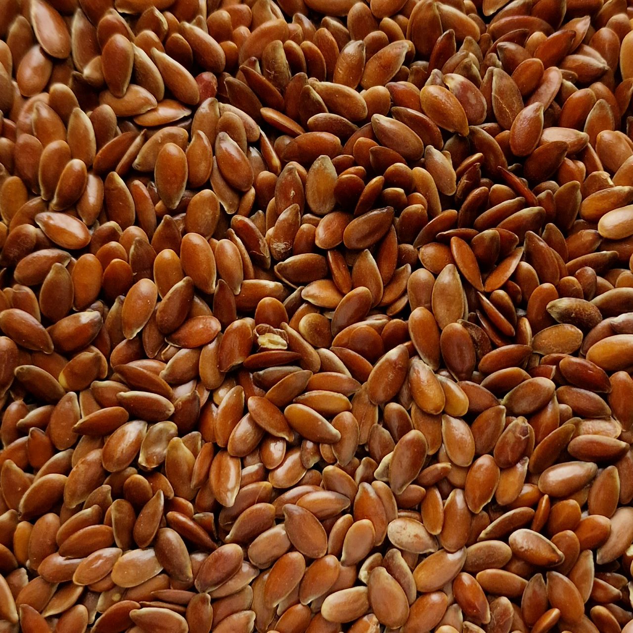 Organic Brown Linseed (10g)
