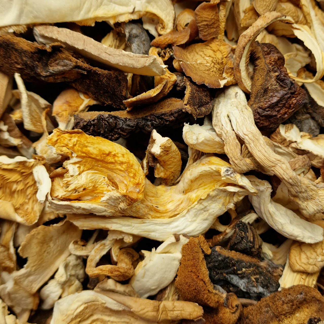 Dried Mixed Forest Mushrooms (10g)