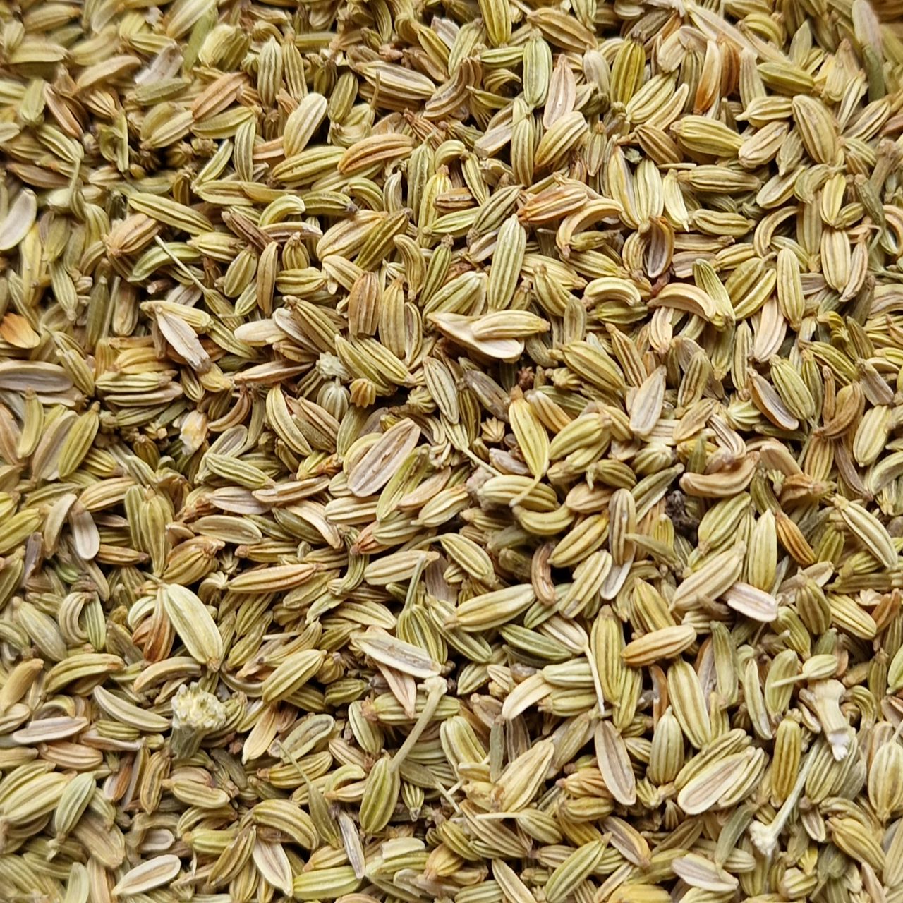 Fennel Seeds (10g)