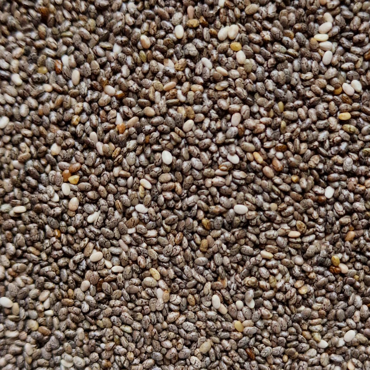 Organic Chia Seeds (100g)