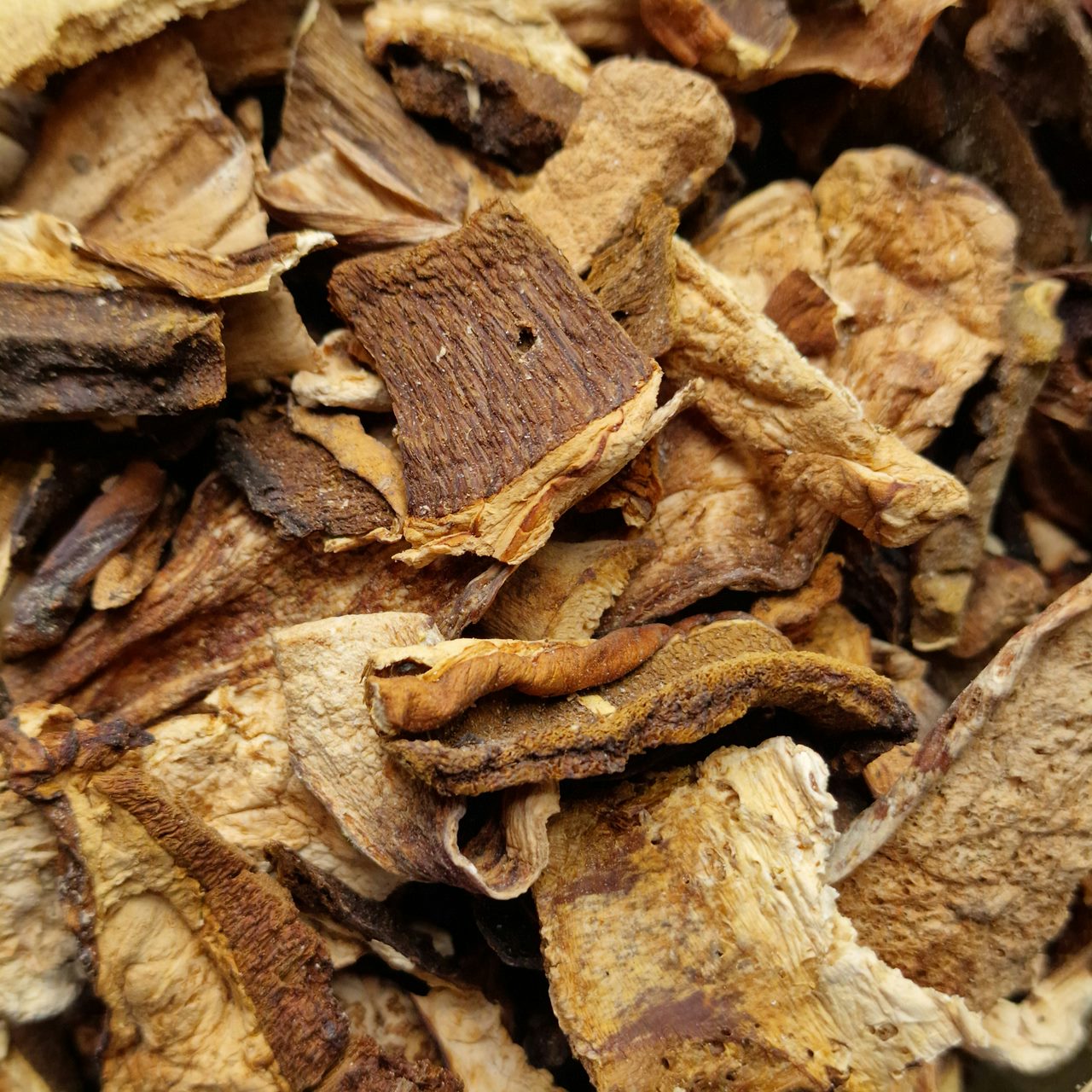 Dried Porcini Mushrooms (10g)