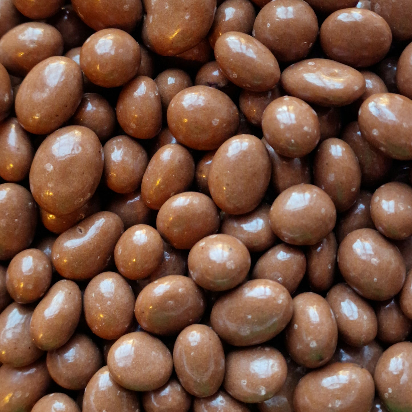 Milk Chocolate Raisins (100g)