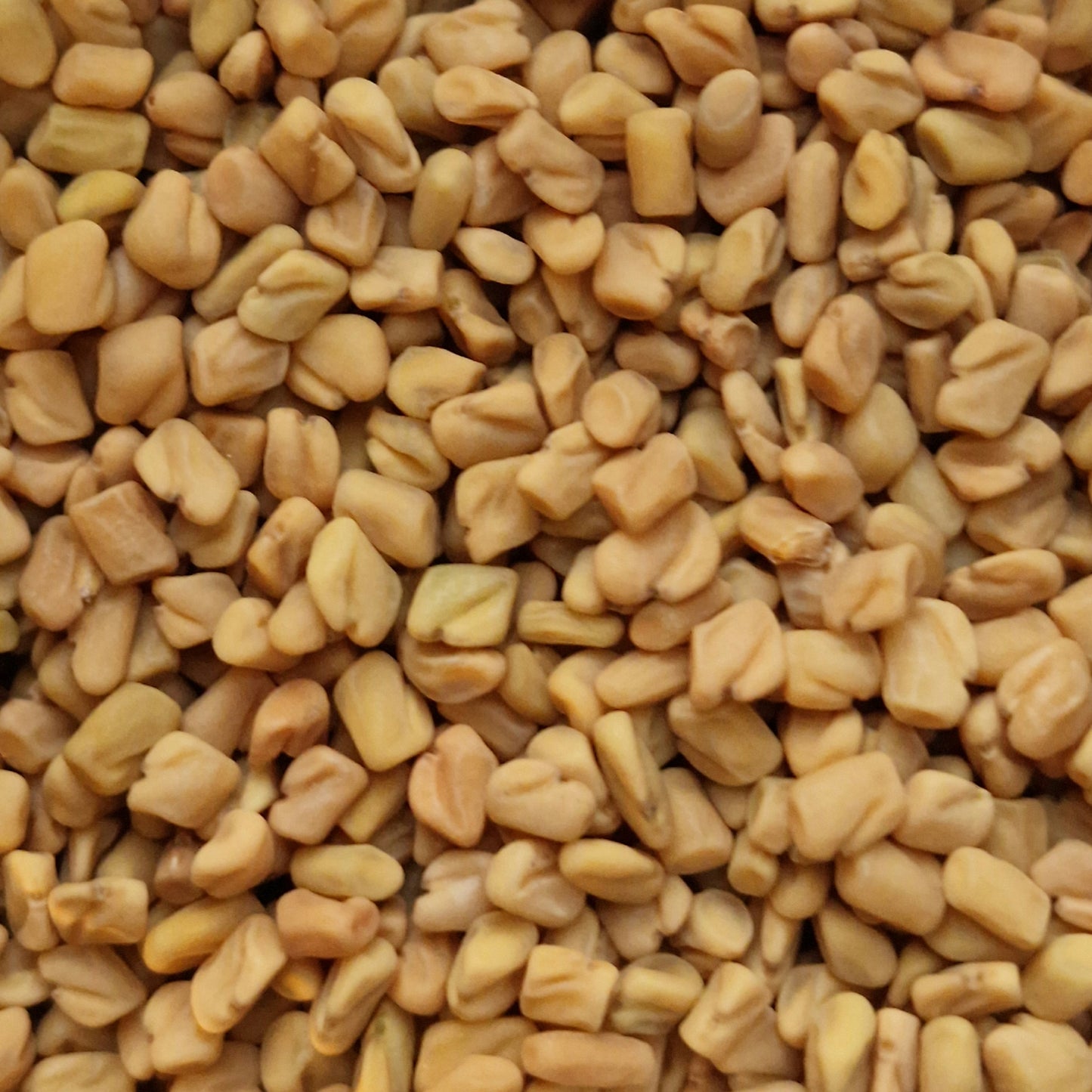 Fenugreek Seeds (10g)