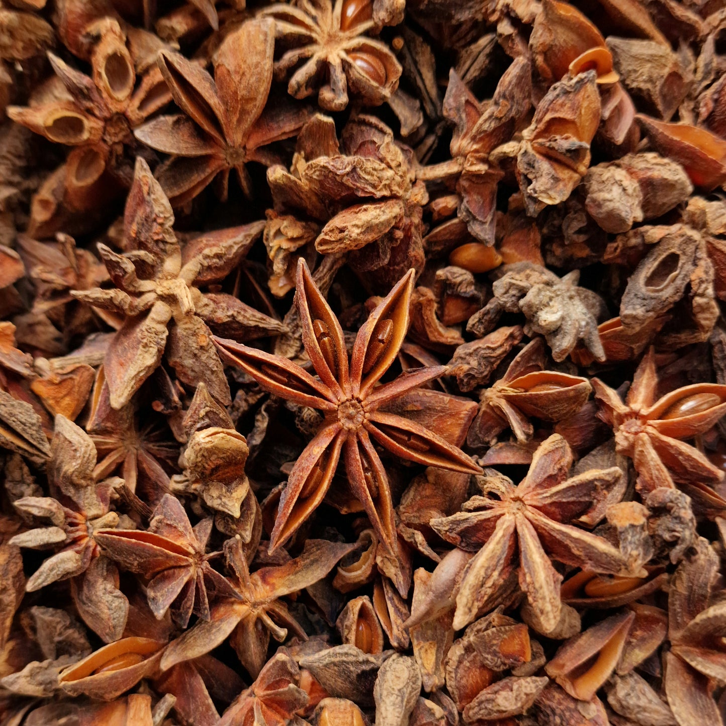 Star Anise (10g)