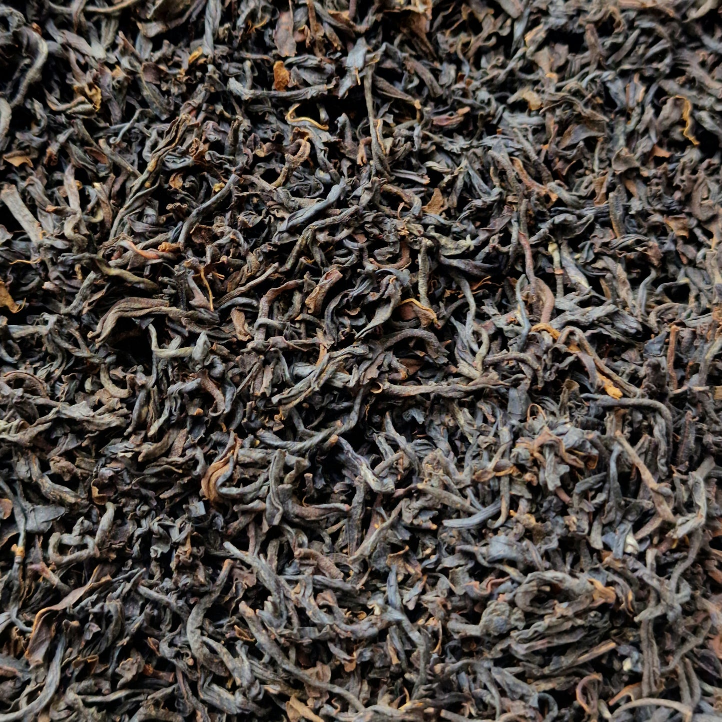 Assam Tea (10g)
