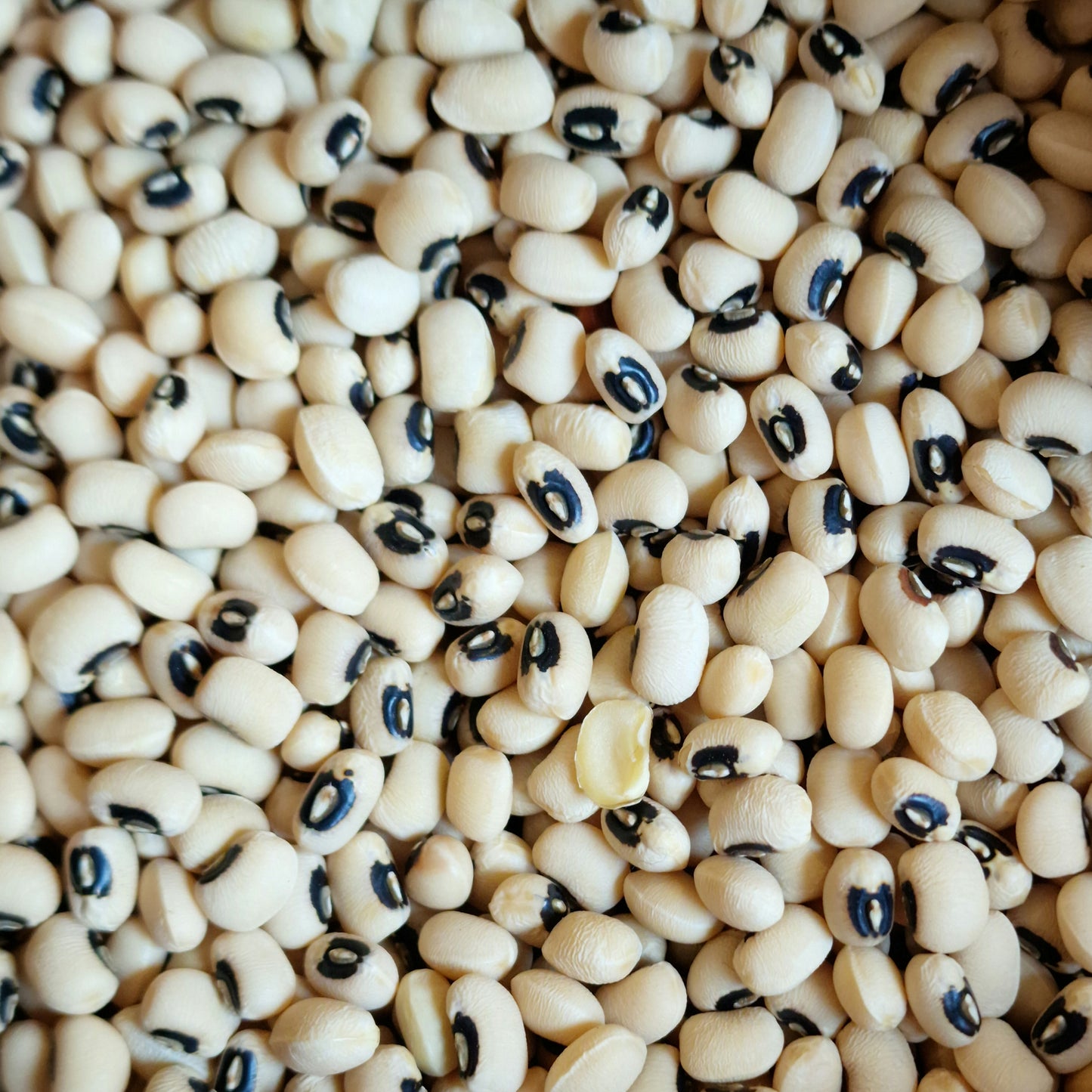 Dried Black Eye Beans (100g)