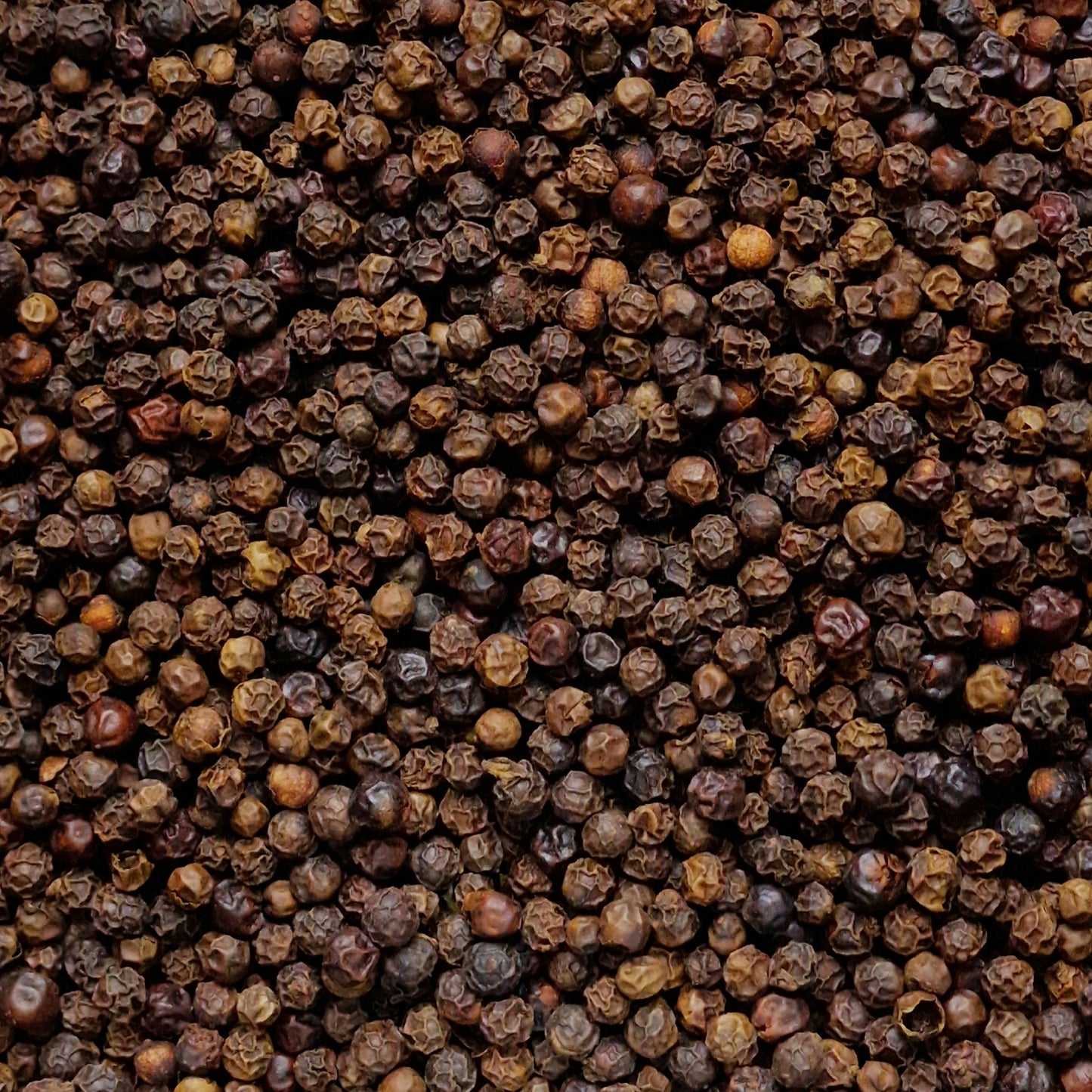 Black Peppercorns (10g)