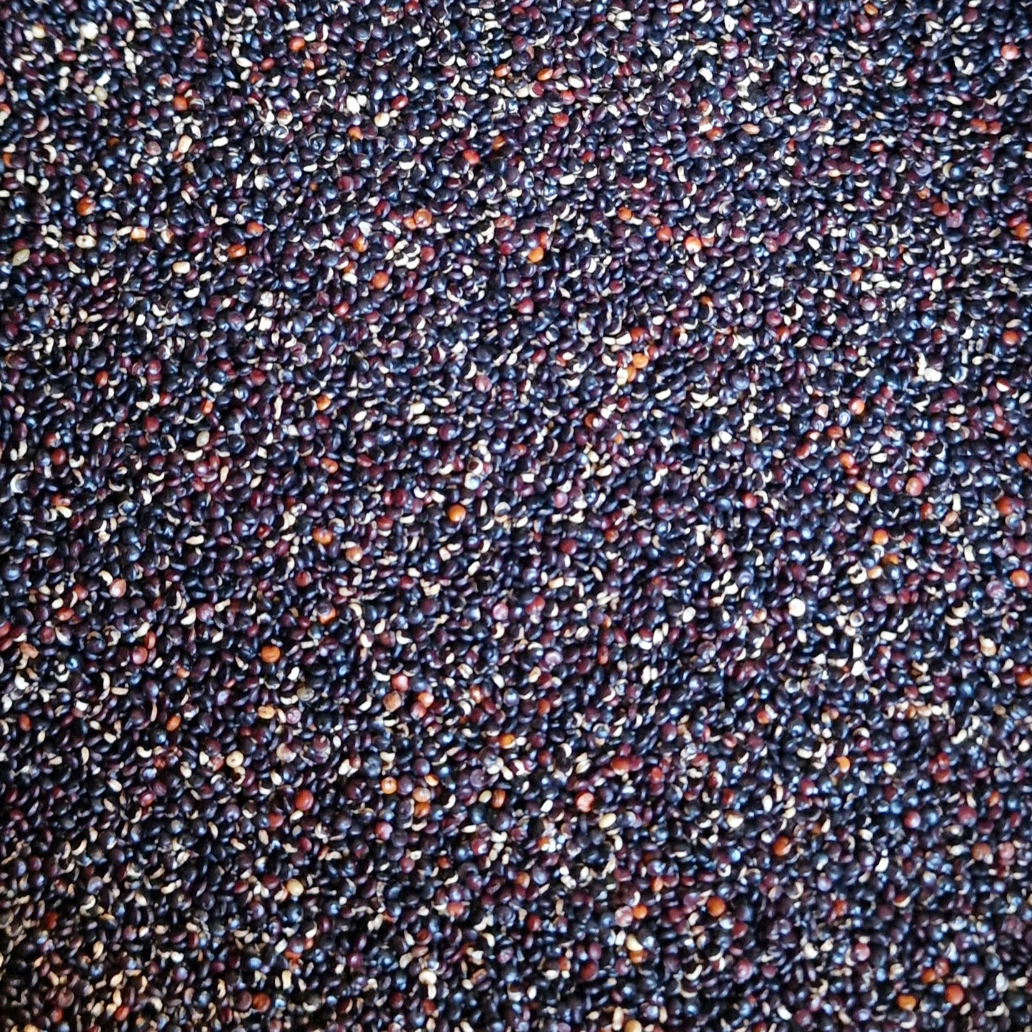 Organic Black Quinoa (100g)