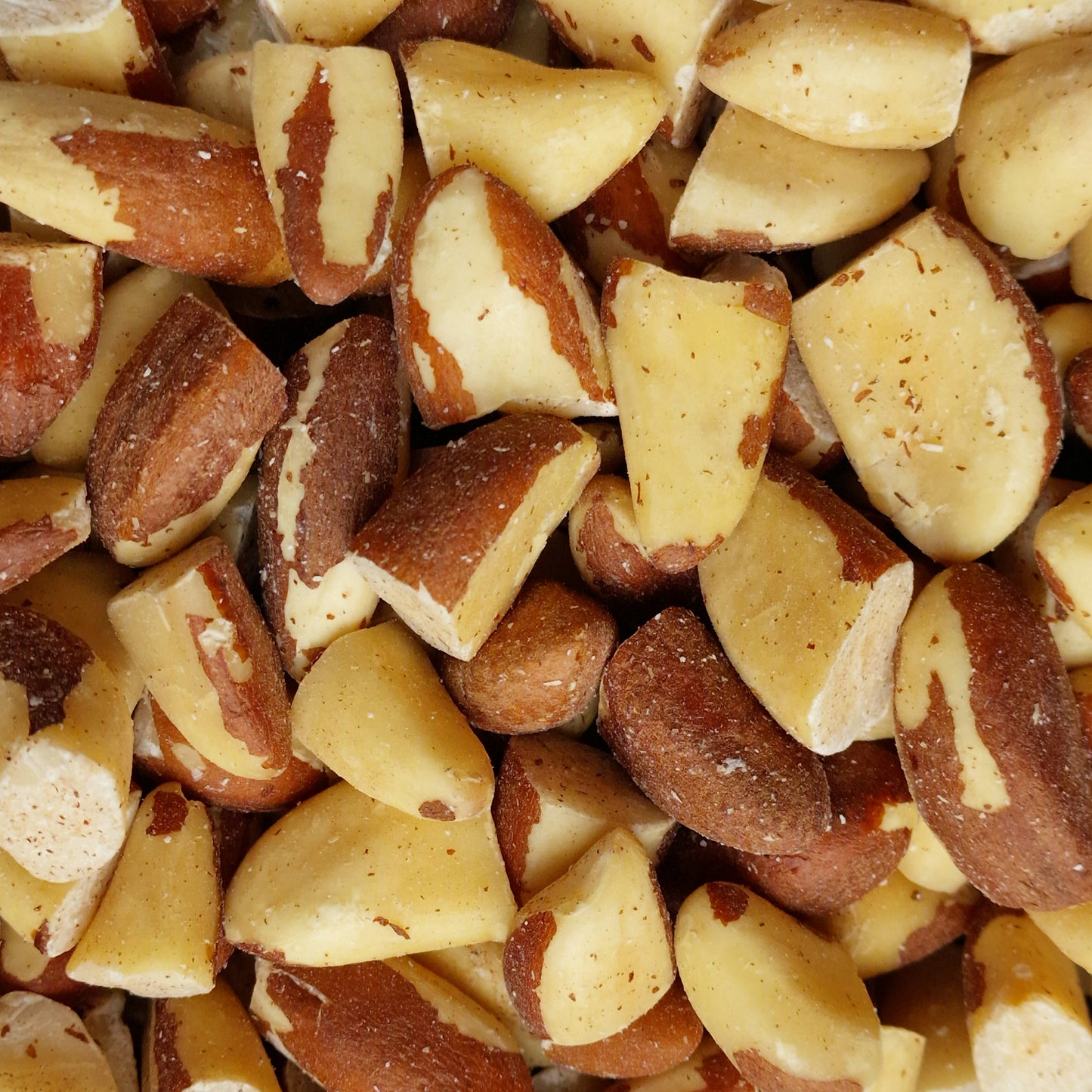 Brazil Nuts (100g)
