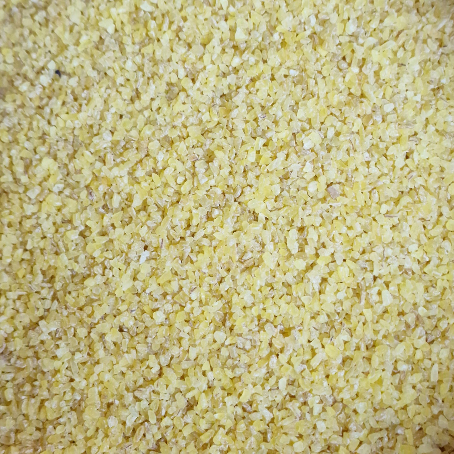 Organic Bulgur Wheat (100g)