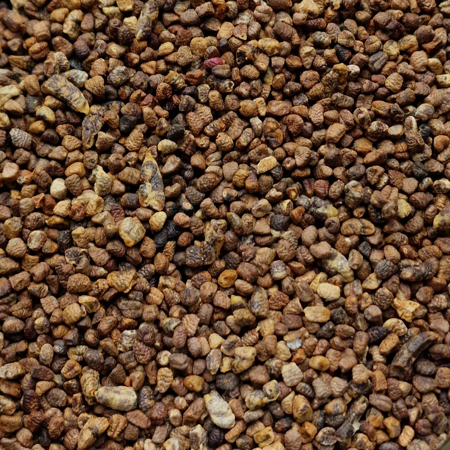 Cardamon Seeds (10g)