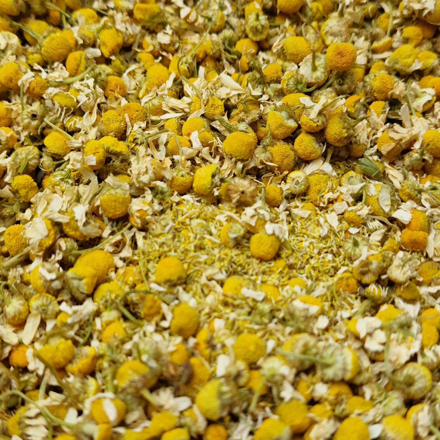 Chamomile Flower Tea (10g)