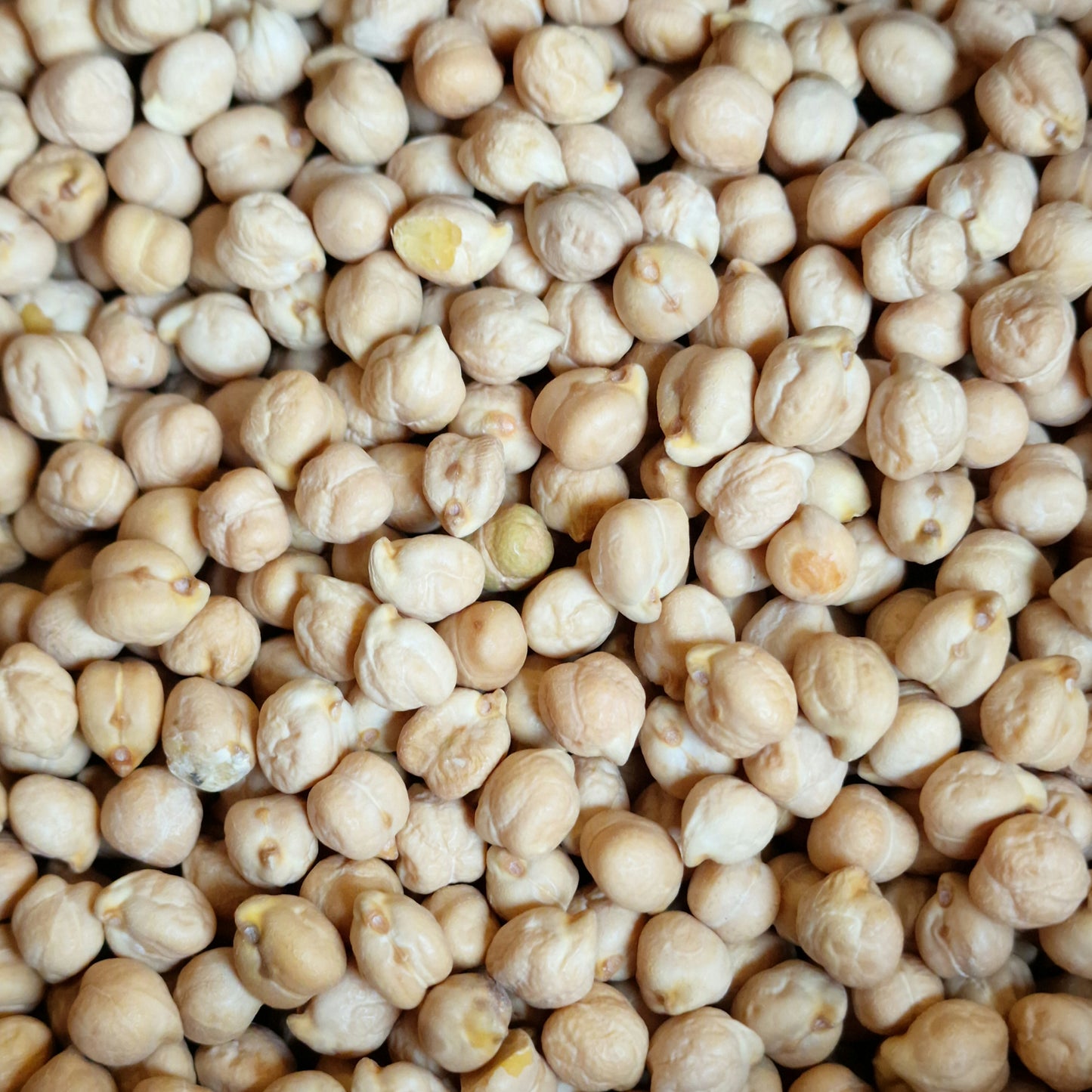 Dried Chickpeas (100g)