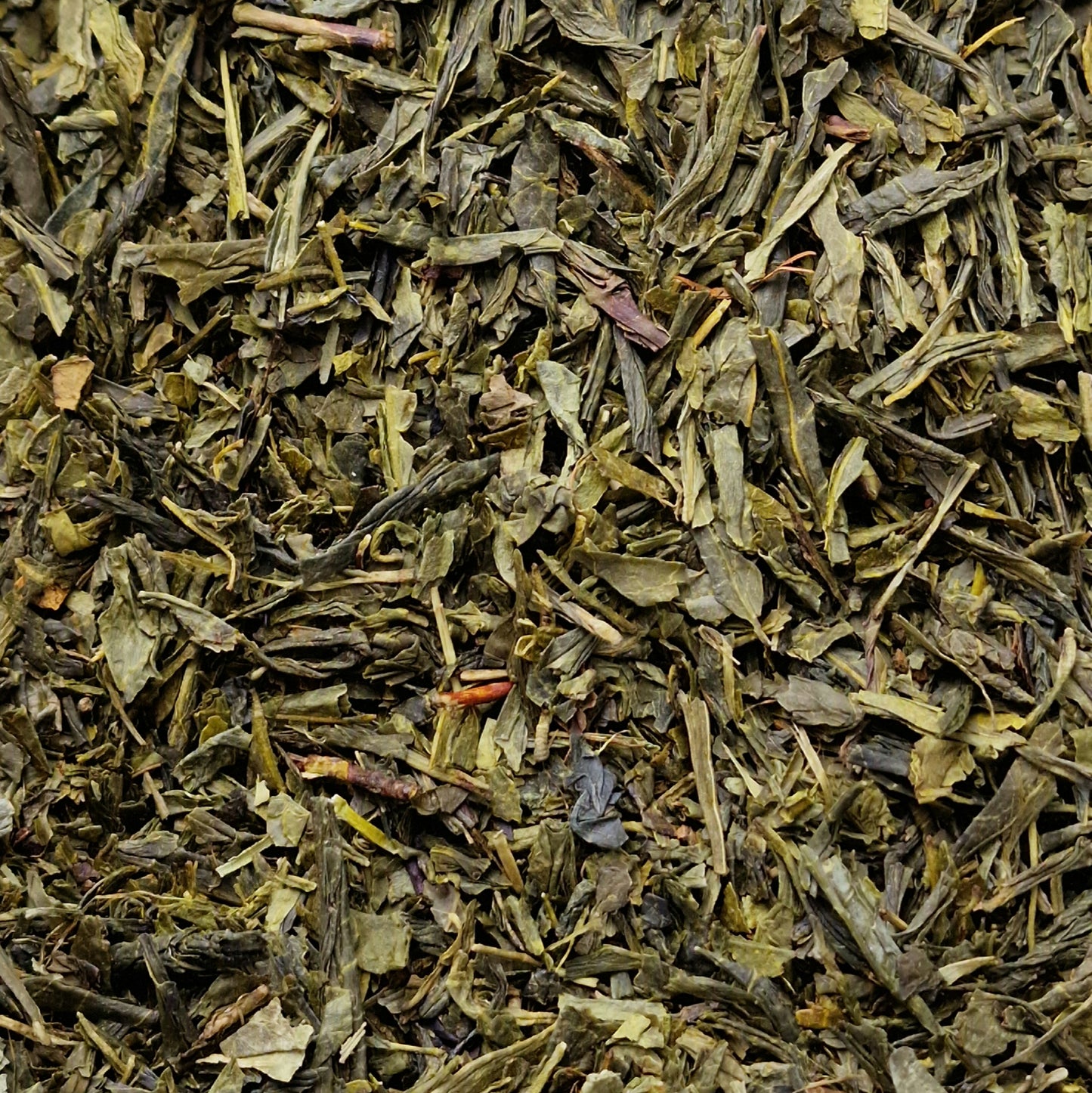 China Sencha Tea (10g)