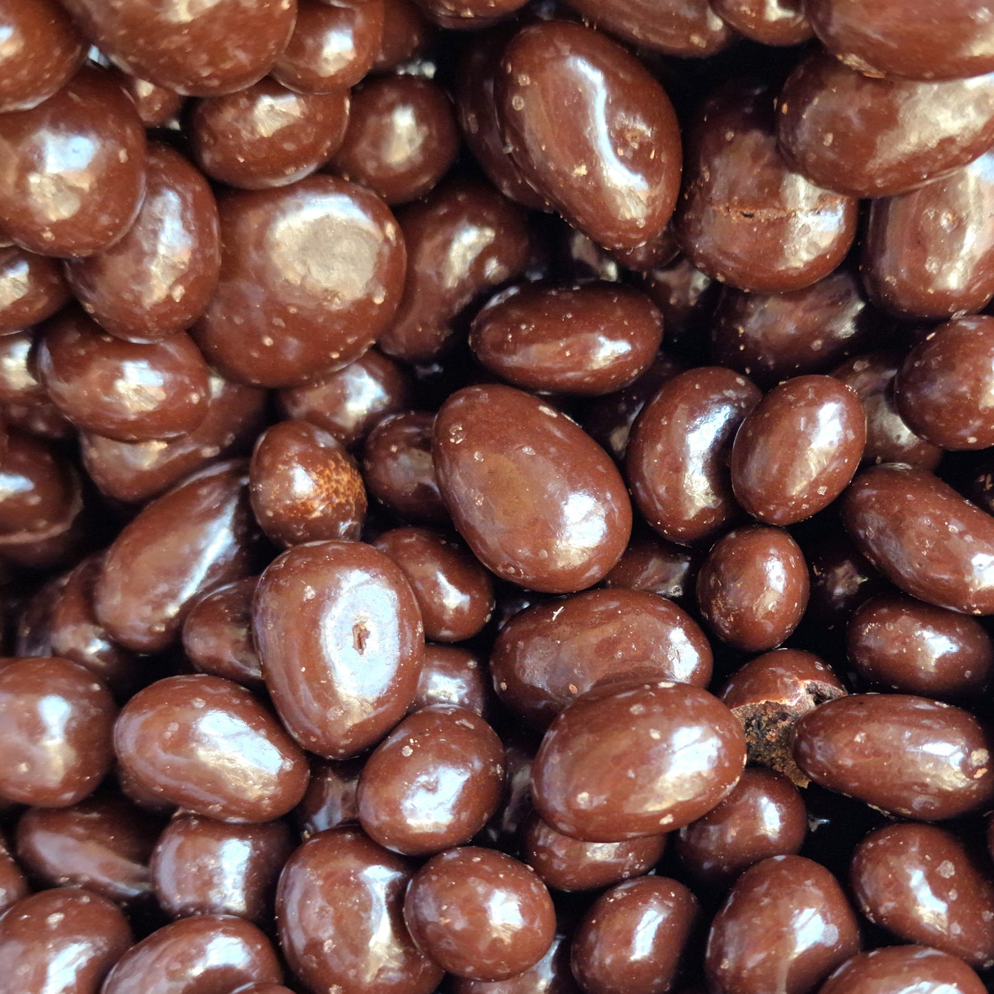 Dark Chocolate Raisins (100g)