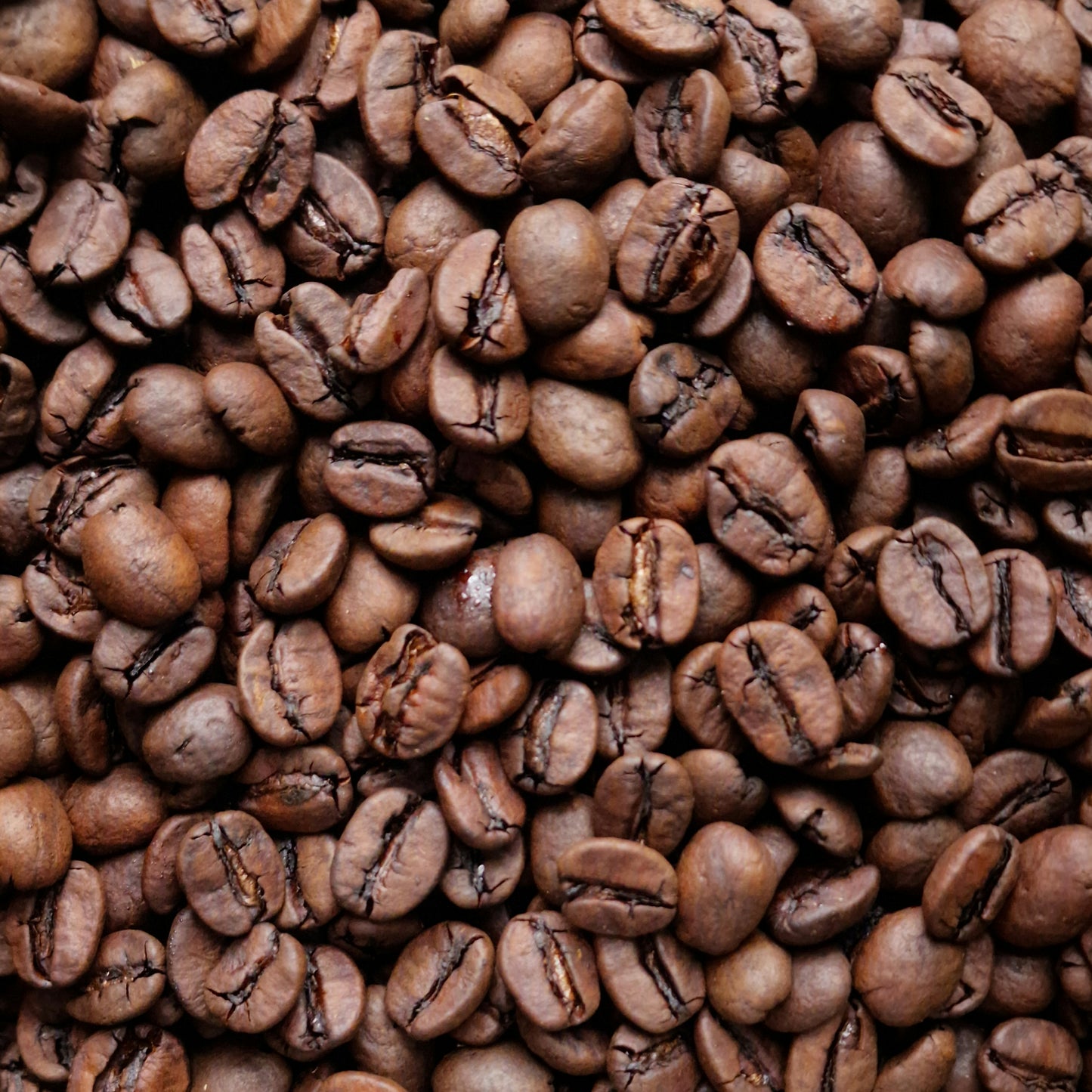 DeCaff Swiss Water Brazil Coffee (100g)