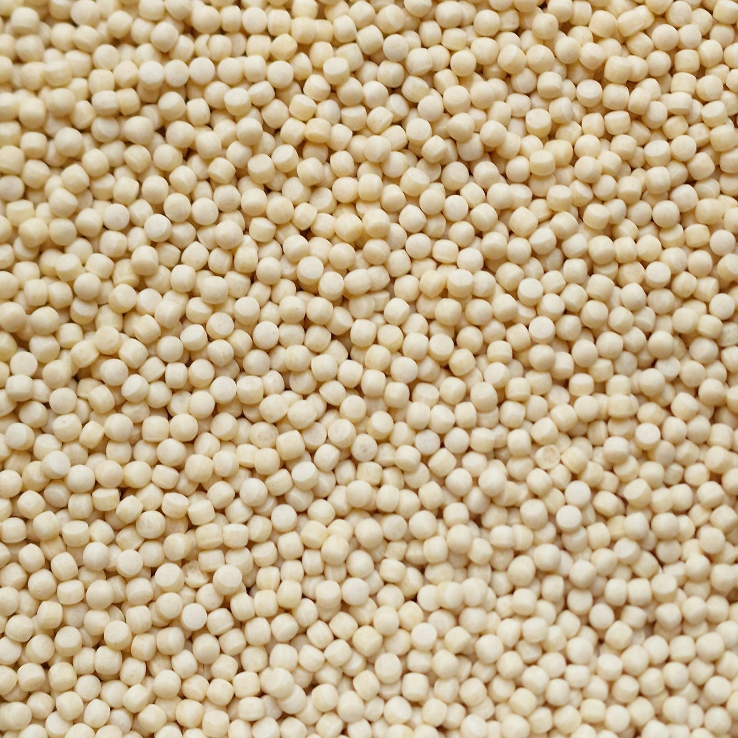 Giant Cous Cous (100g)