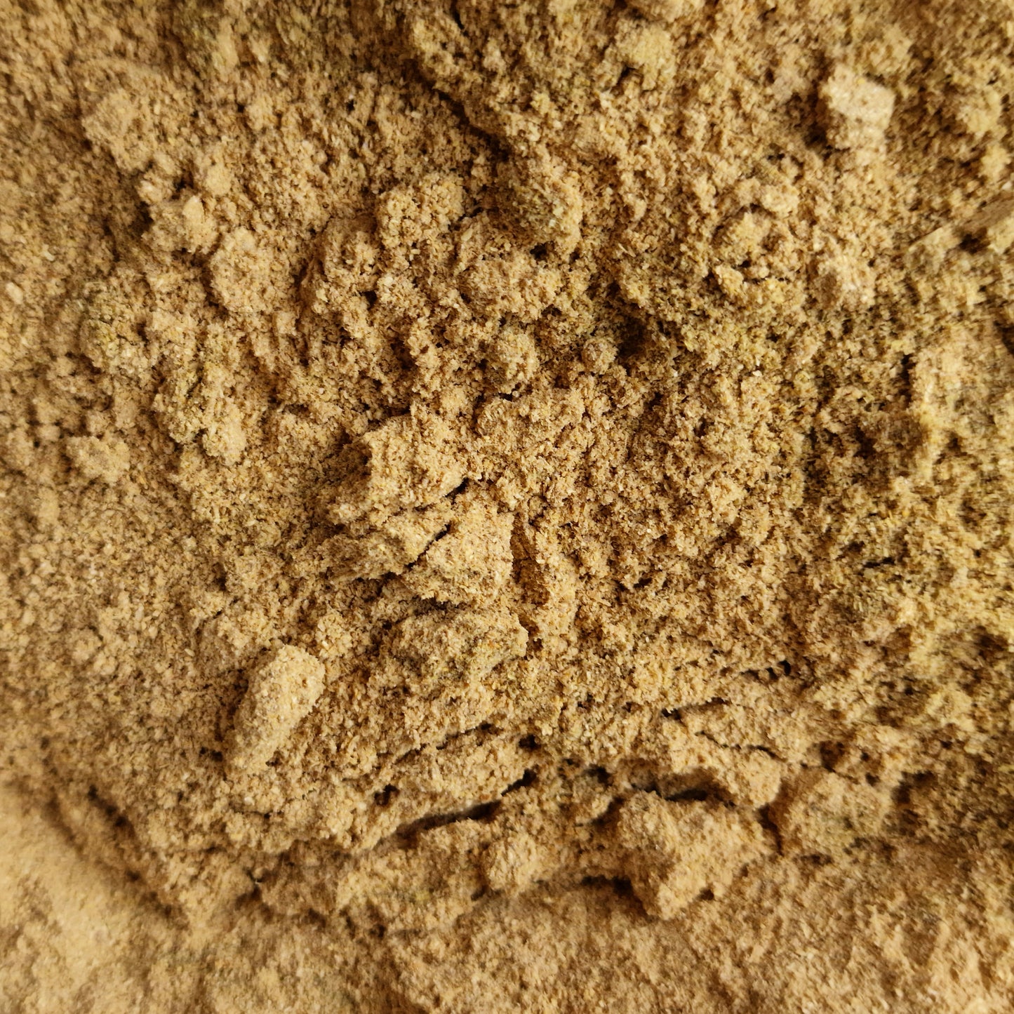 Ground Coriander (10g)