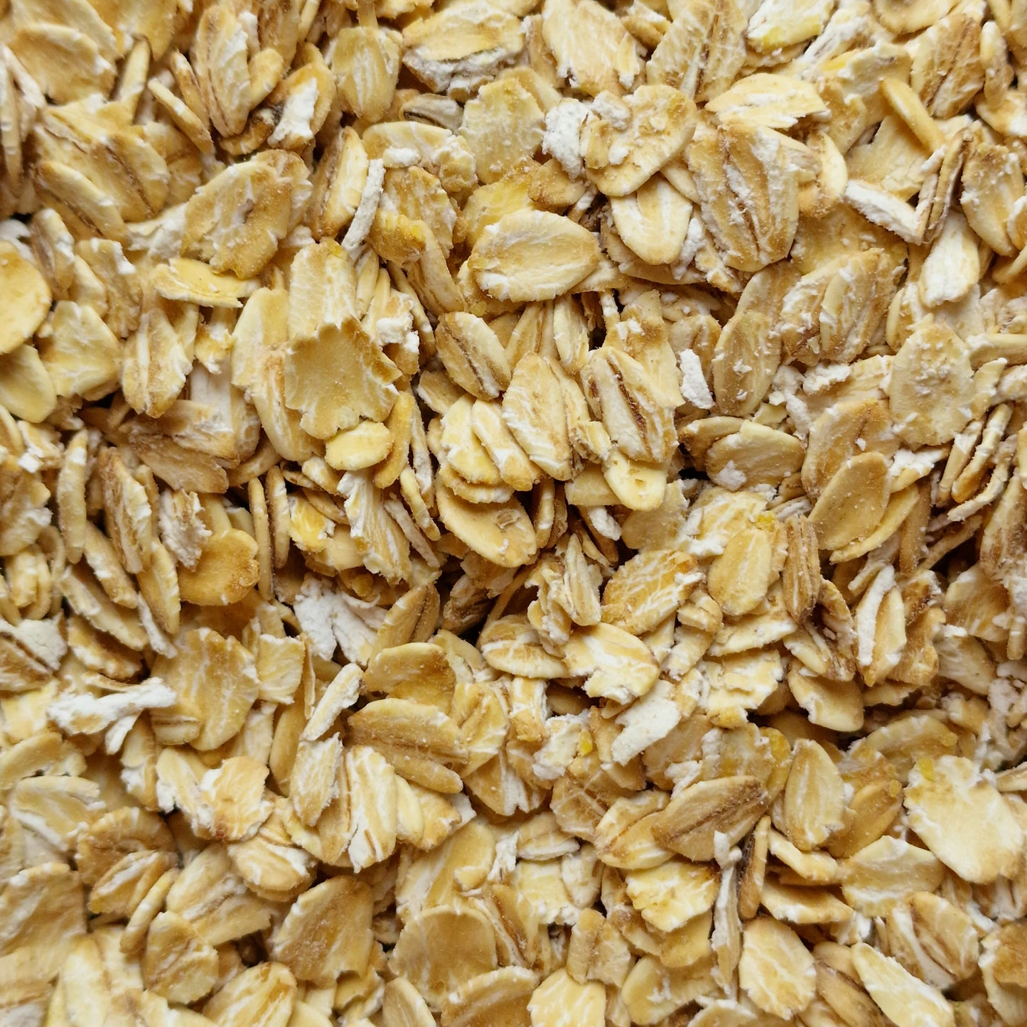 Jumbo Oats (100g)