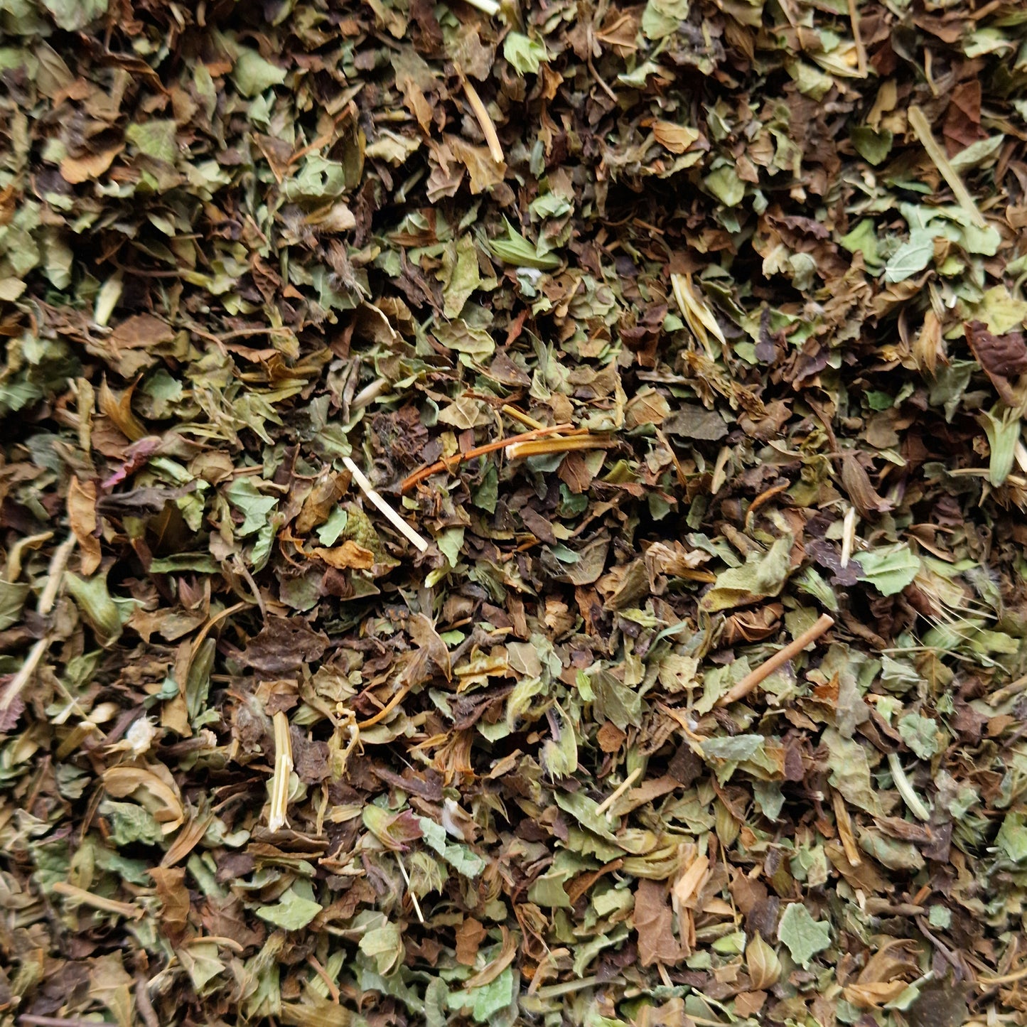Lemon Balm Tea (10g)