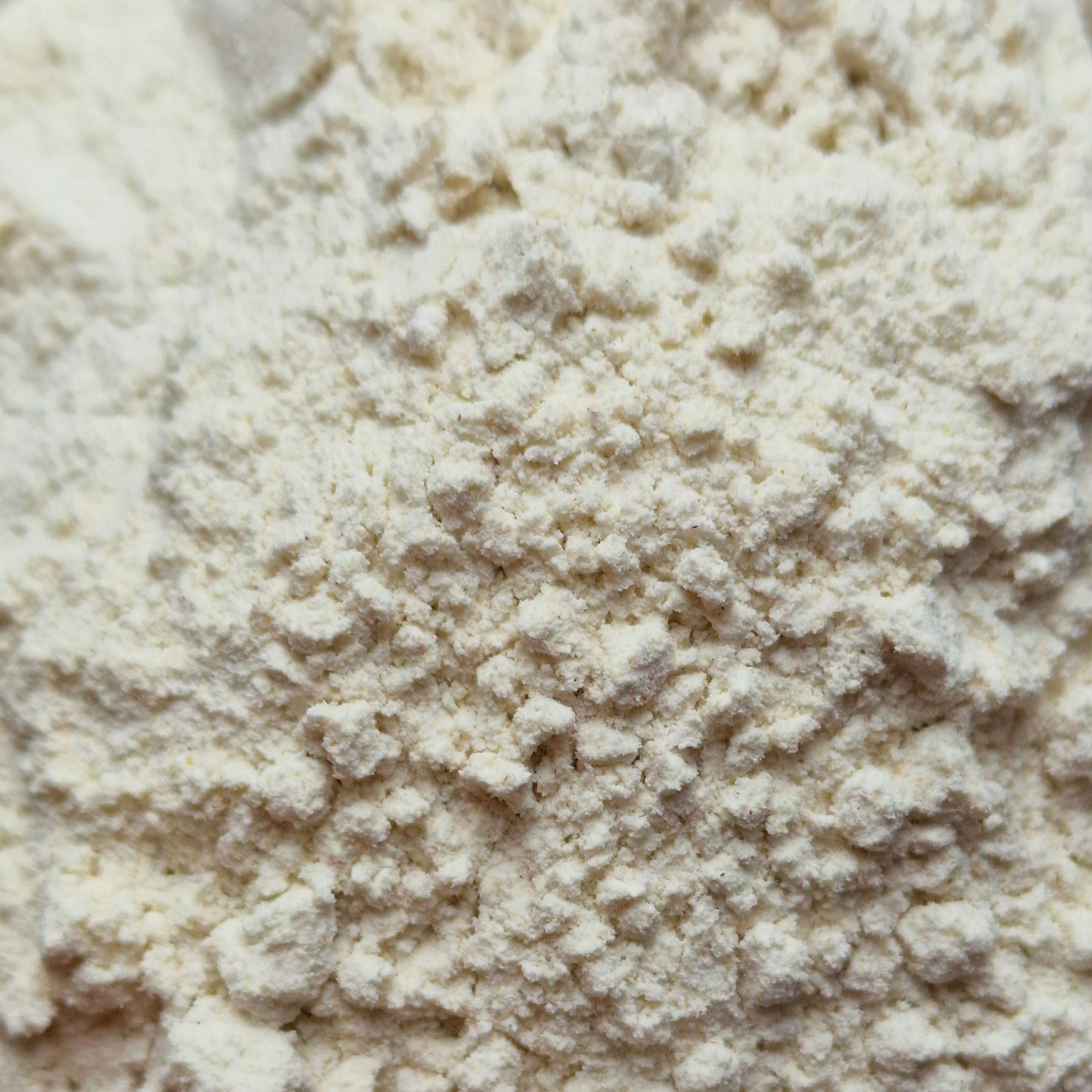 Light Rye Flour (100g)