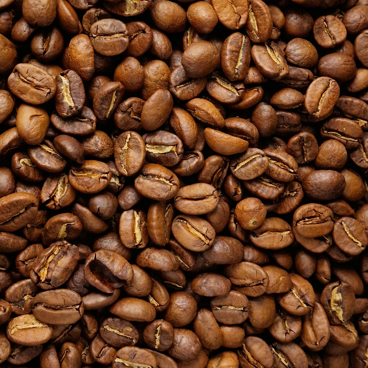 Mexican High Grown Arabica Coffee (100g)