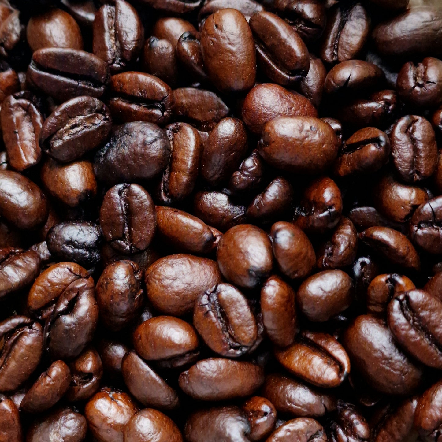 Mocha Matari Coffee (100g)