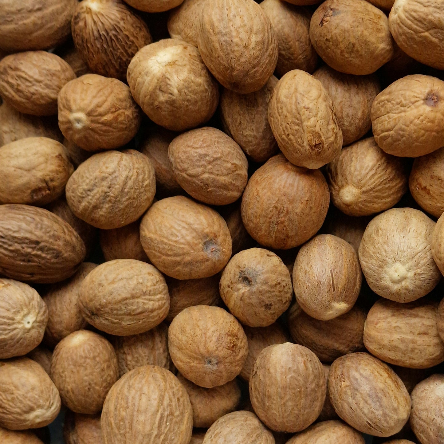 Whole Nutmeg (10g)