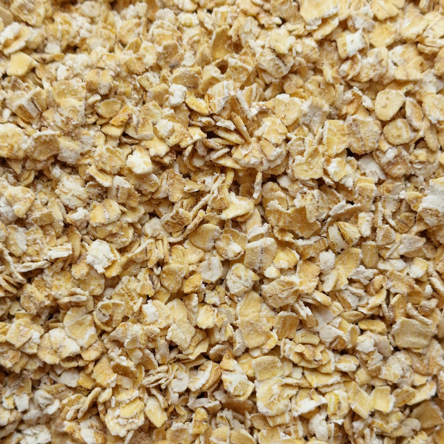 Regular Oats (100g)