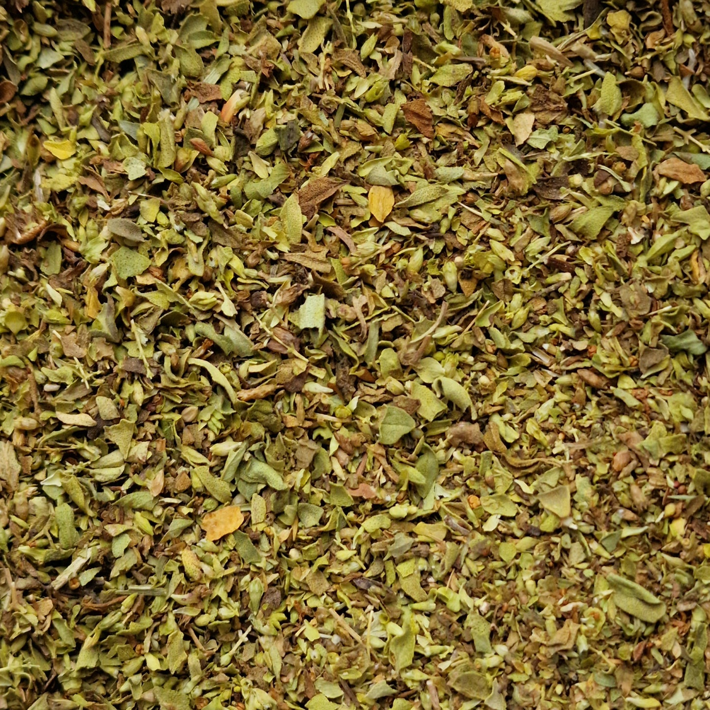 Dried Oregano (10g)