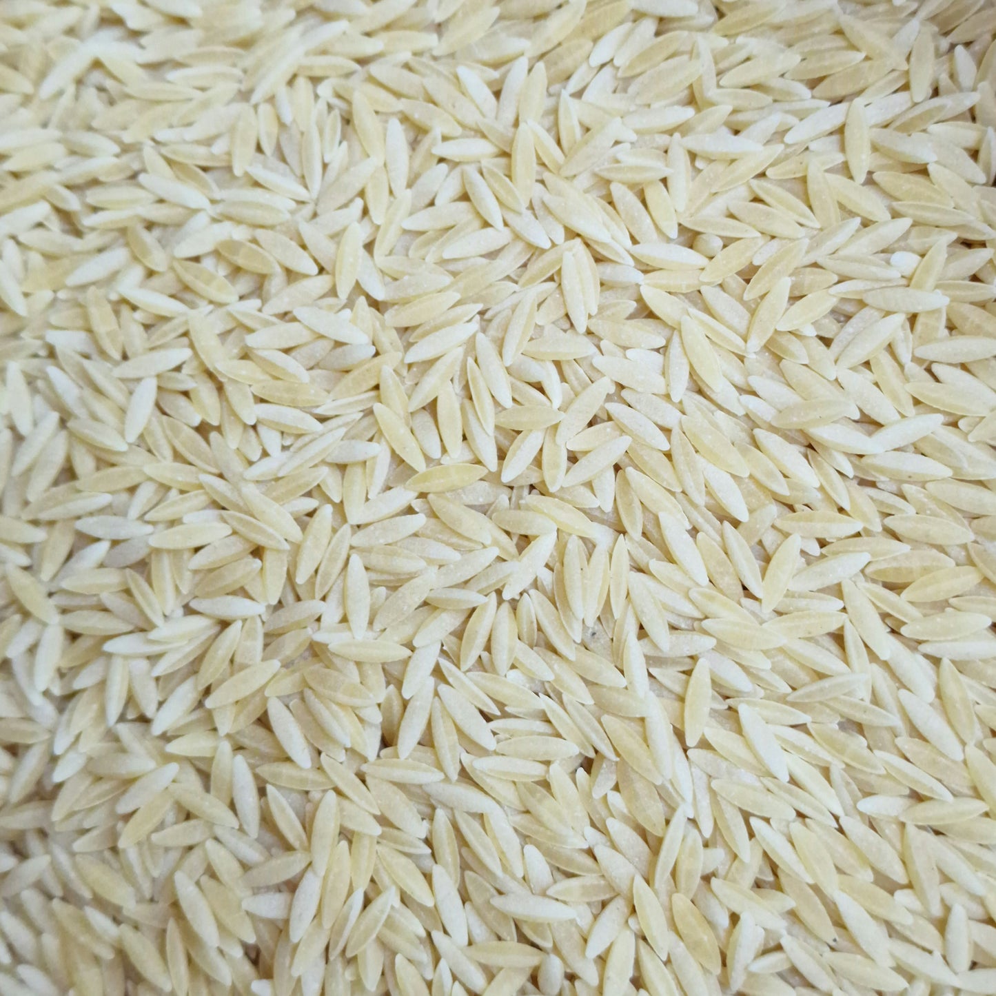 Orzo (100g)