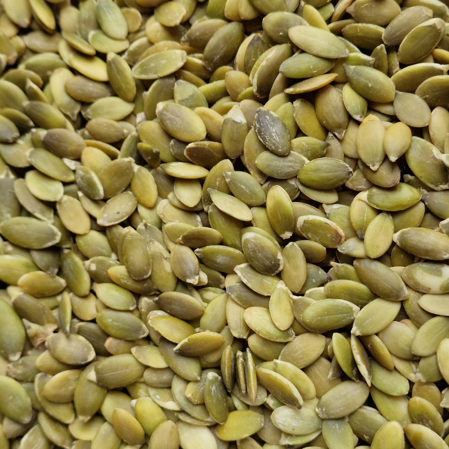 Organic Pumpkin Seeds (10g)