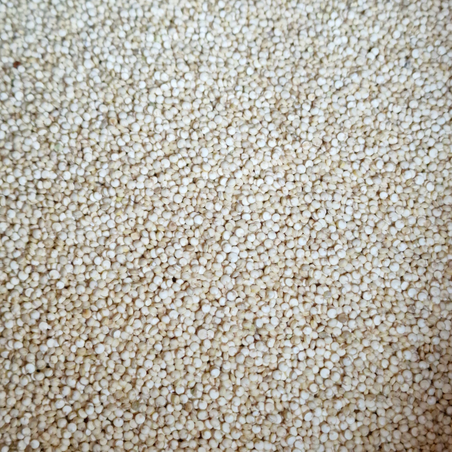 Organic Quinoa (100g)