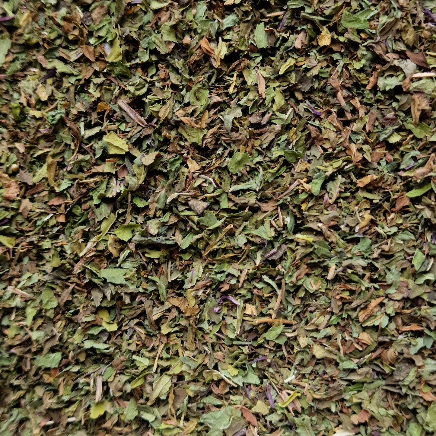 Spearmint (10g)