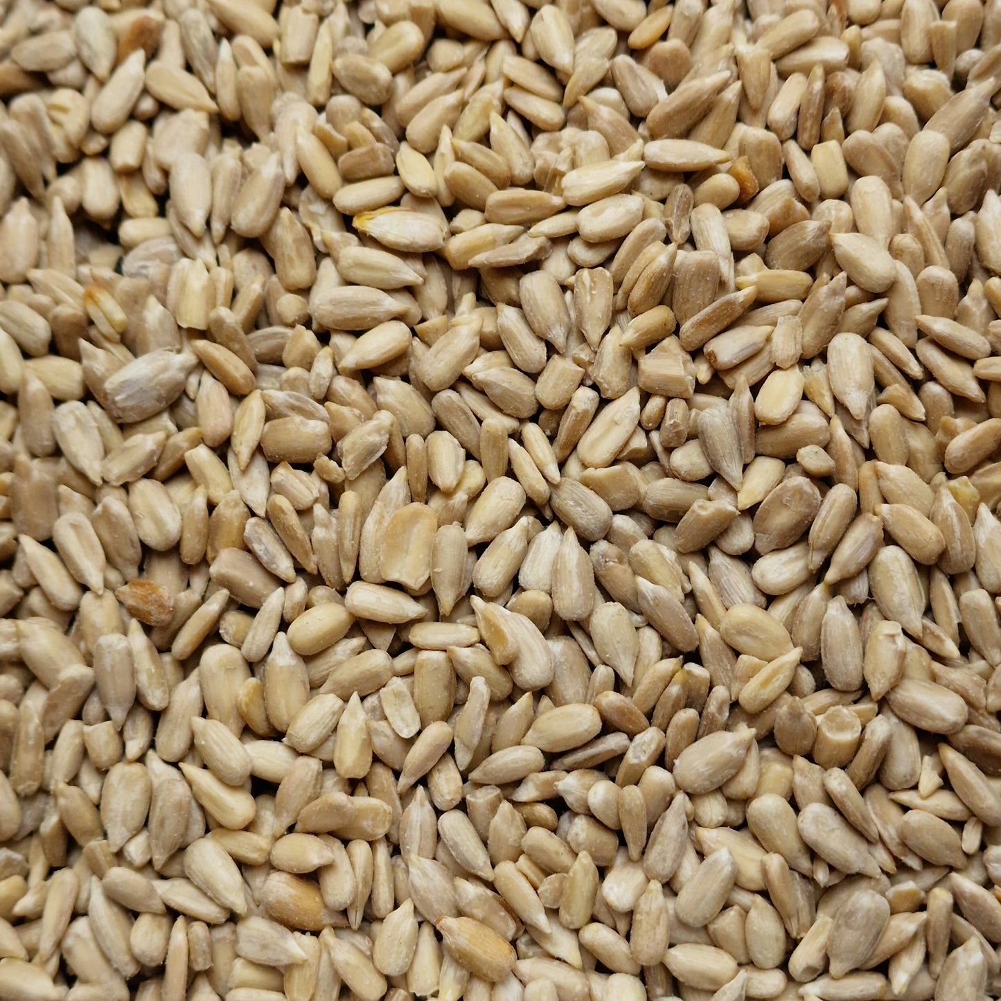 Organic Sunflower Seeds (10g)