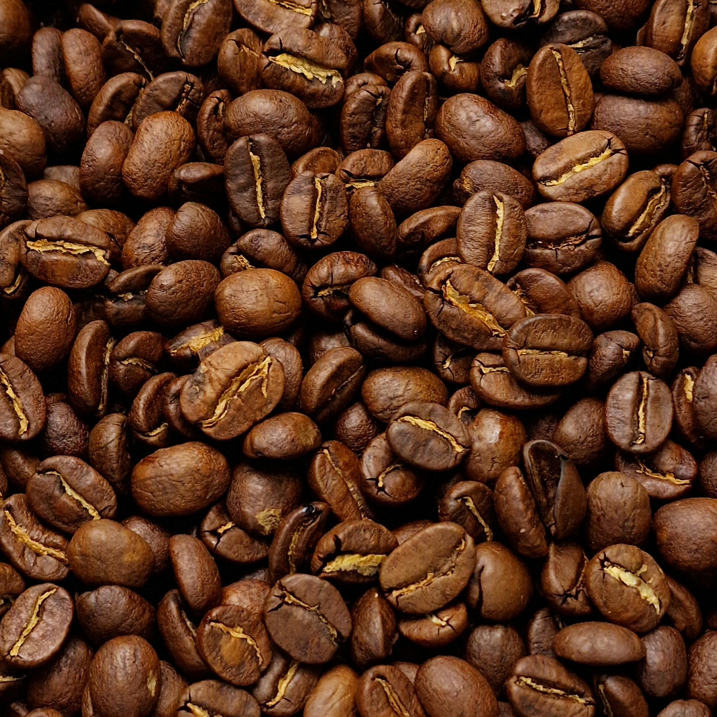 Tanzania Kongoni Coffee (100g)