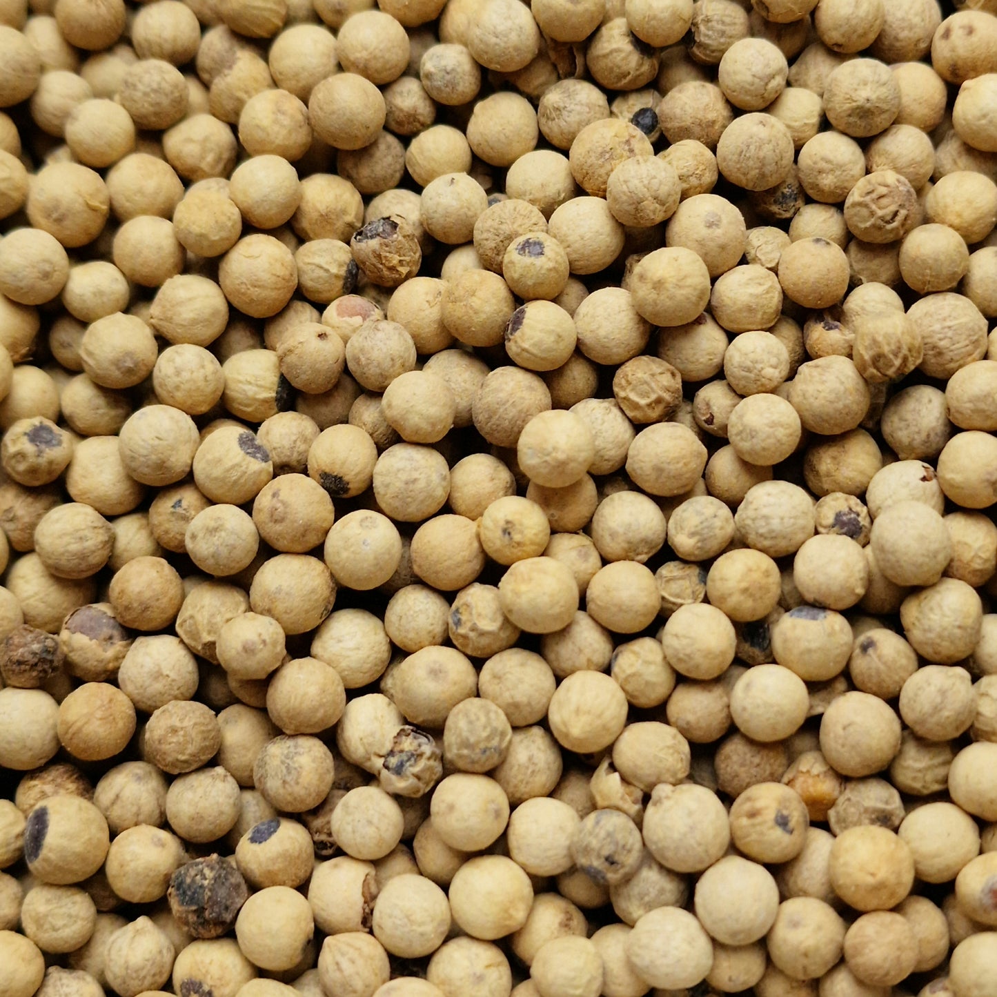 White Peppercorns (10g)