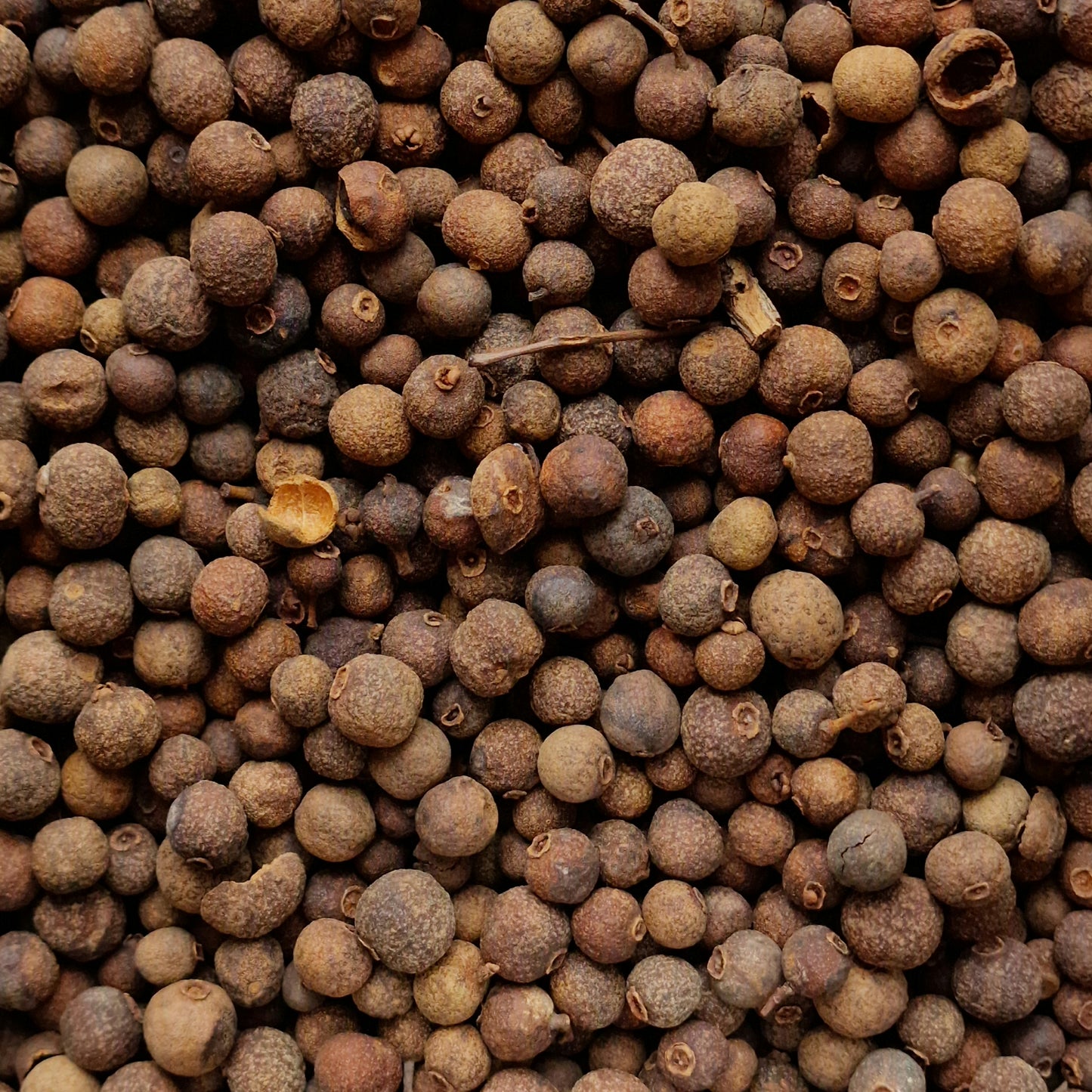 Allspice Berries (10g)