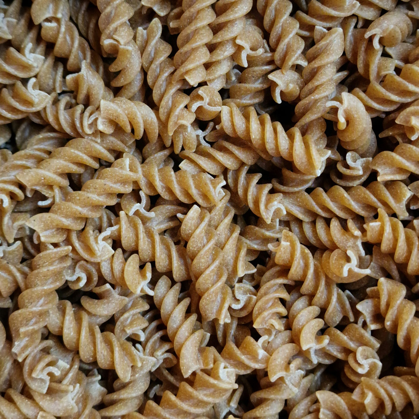 Wholewheat Fusilli (100g)