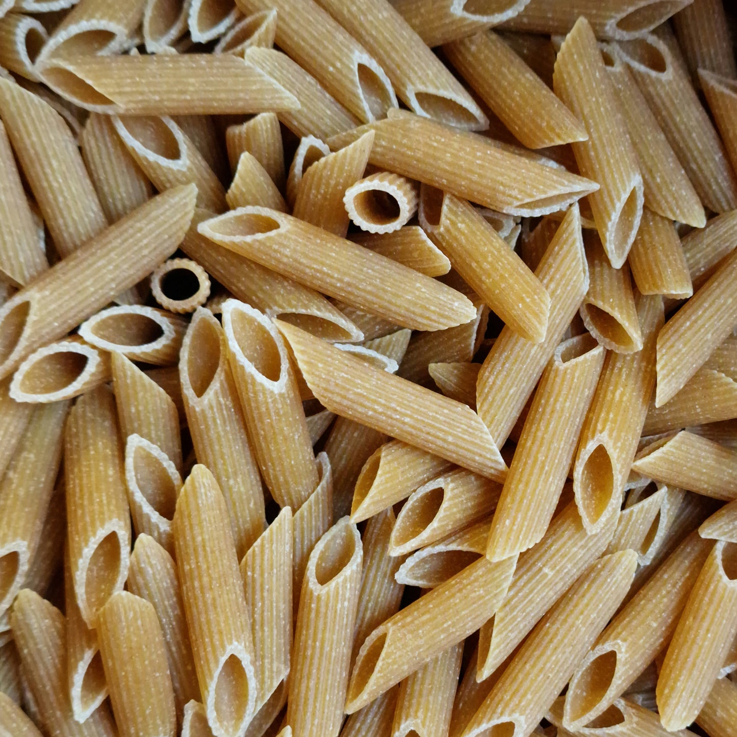 Wholewheat Penne (100g)