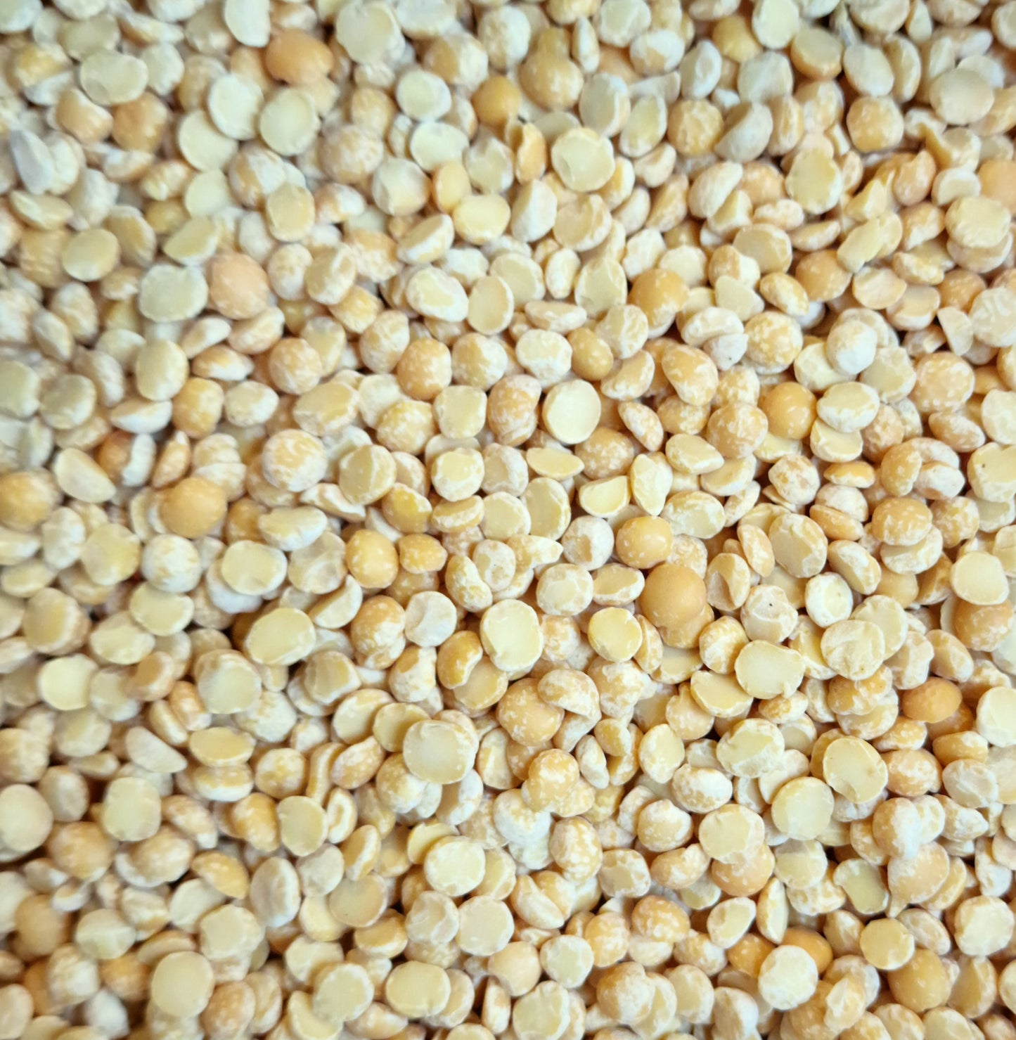 Yellow Split Peas (100g)