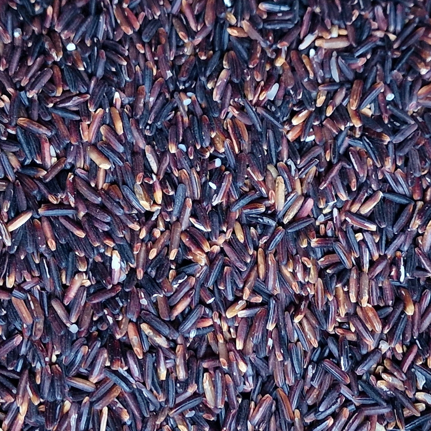 Organic Black Rice (100g)