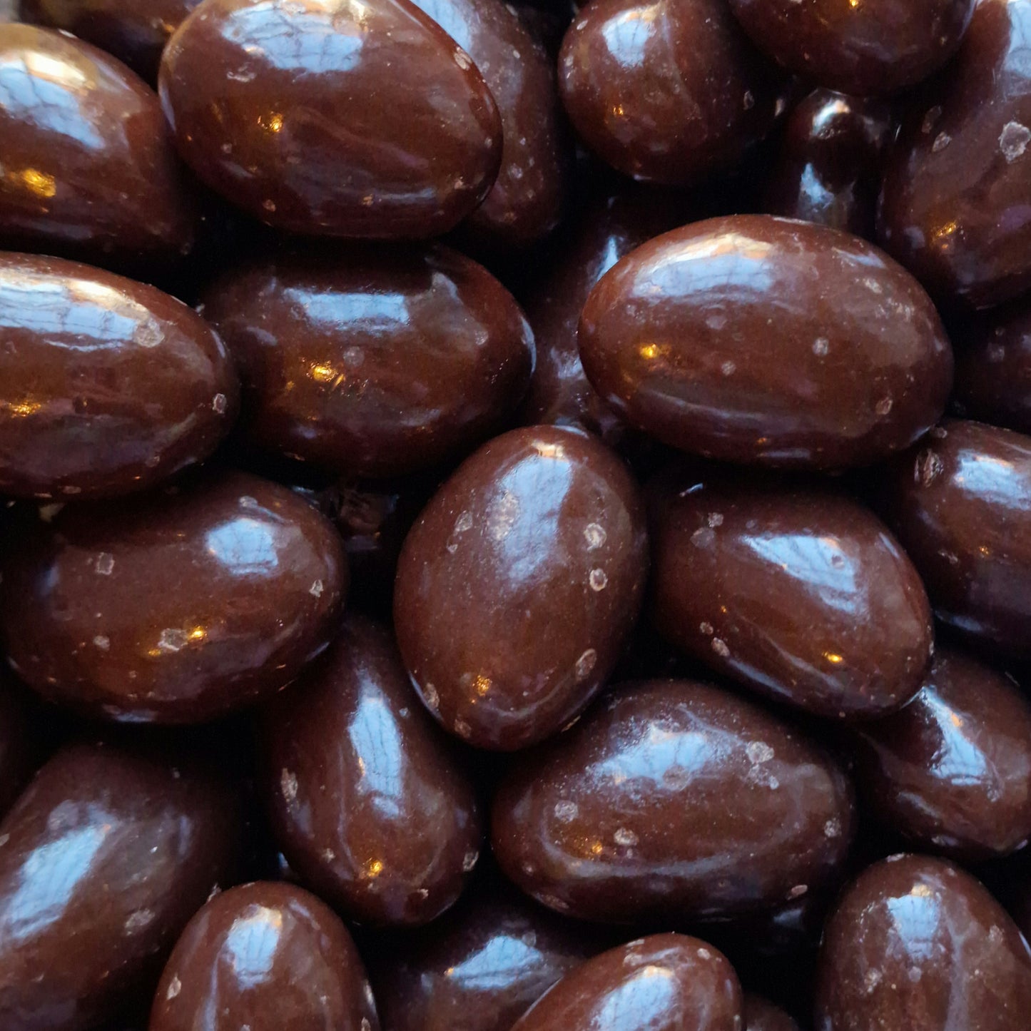 Dark Chocolate Brazil Nuts (100g)