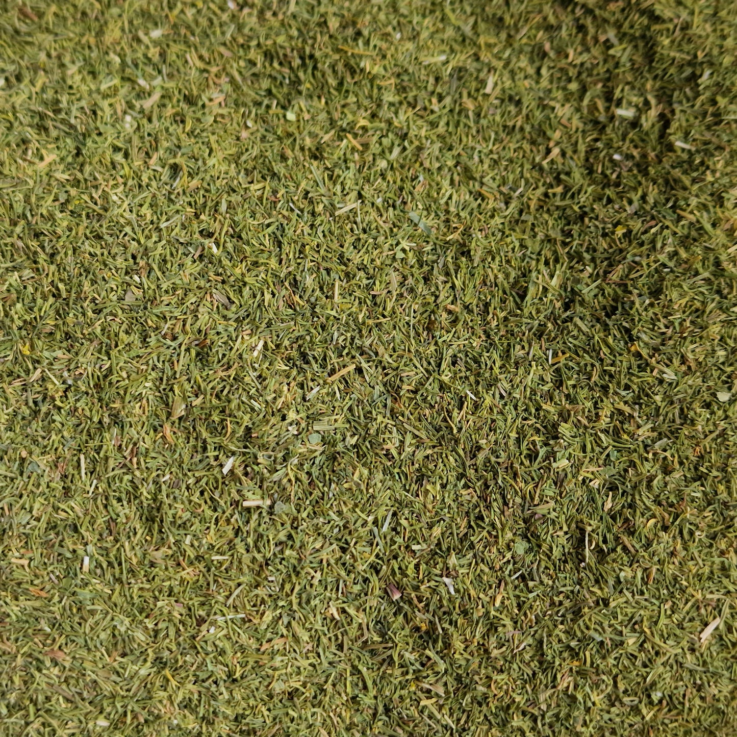 Dried Dill (10g)