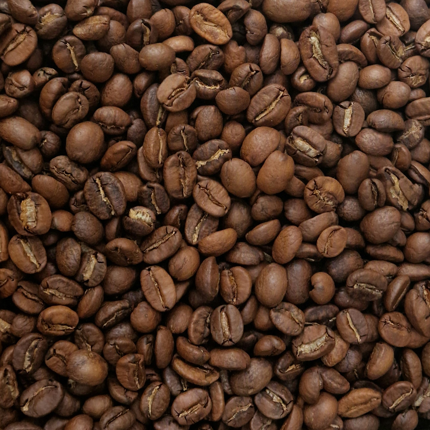 Guatemalan Huehuetenango (100g)