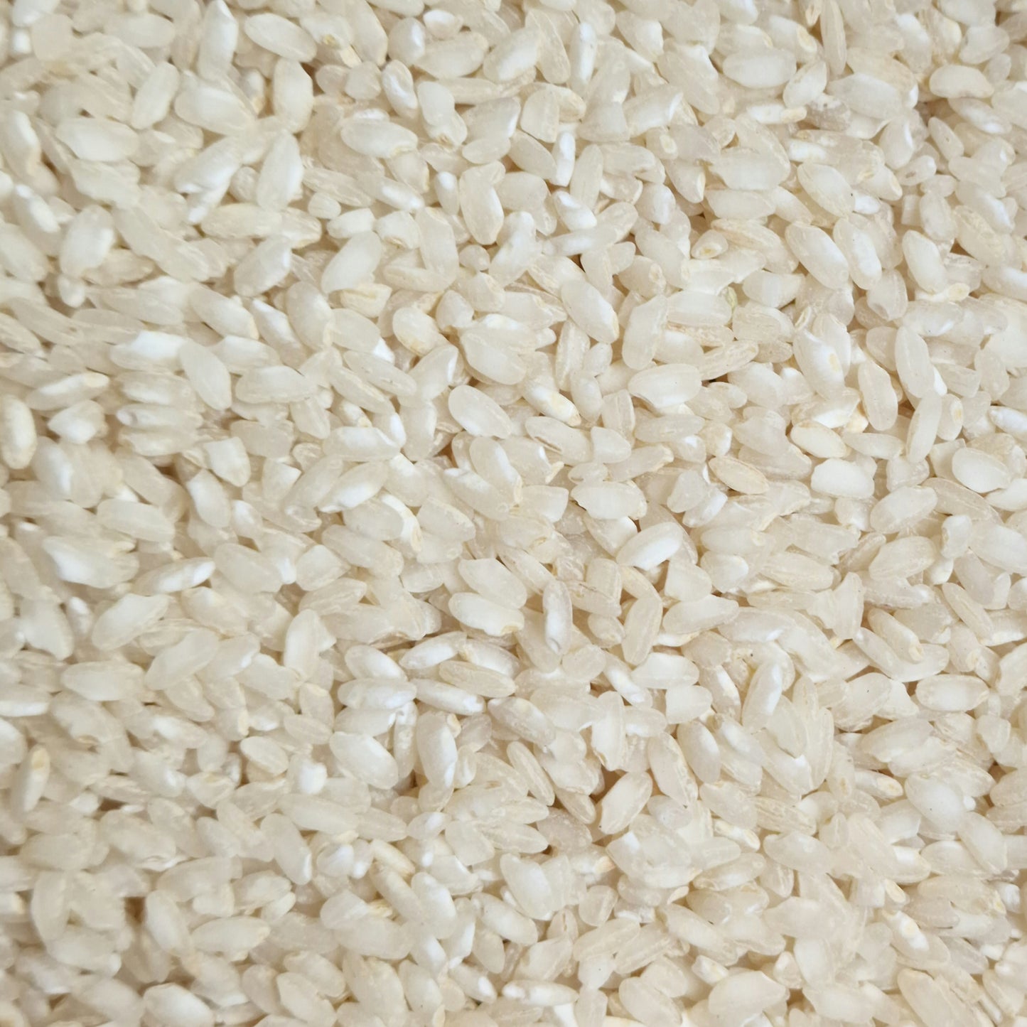 Organic Arborio Rice (100g)